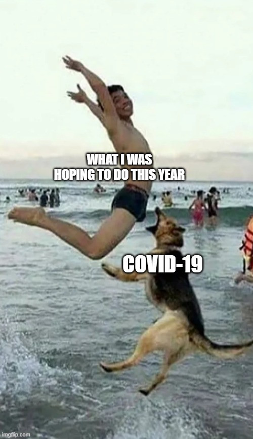 The template is funny by itself | WHAT I WAS HOPING TO DO THIS YEAR; COVID-19 | image tagged in dog bite dick,covid,man jumping,dog,dick bite | made w/ Imgflip meme maker