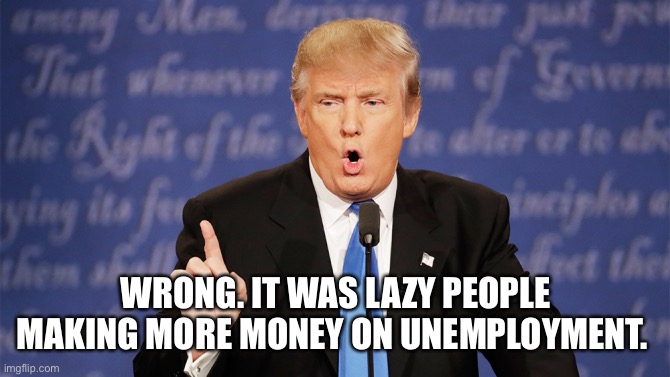Donald Trump Wrong | WRONG. IT WAS LAZY PEOPLE MAKING MORE MONEY ON UNEMPLOYMENT. | image tagged in donald trump wrong | made w/ Imgflip meme maker