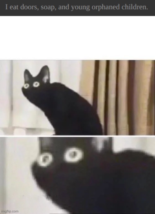 Oh No | image tagged in oh no black cat | made w/ Imgflip meme maker