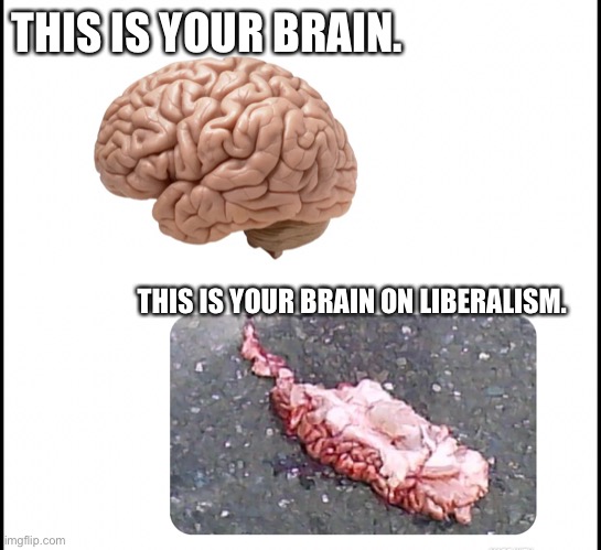THIS IS YOUR BRAIN. THIS IS YOUR BRAIN ON LIBERALISM. | made w/ Imgflip meme maker