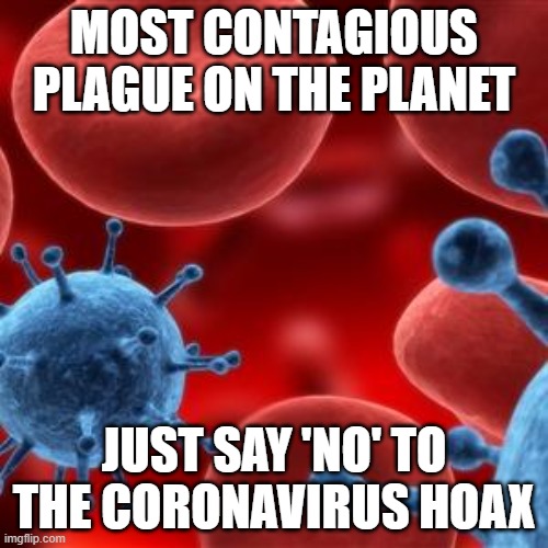 Coronavirus hoax | MOST CONTAGIOUS PLAGUE ON THE PLANET; JUST SAY 'NO' TO THE CORONAVIRUS HOAX | image tagged in virus,wuhan,wuhans,china virus,cold virus | made w/ Imgflip meme maker