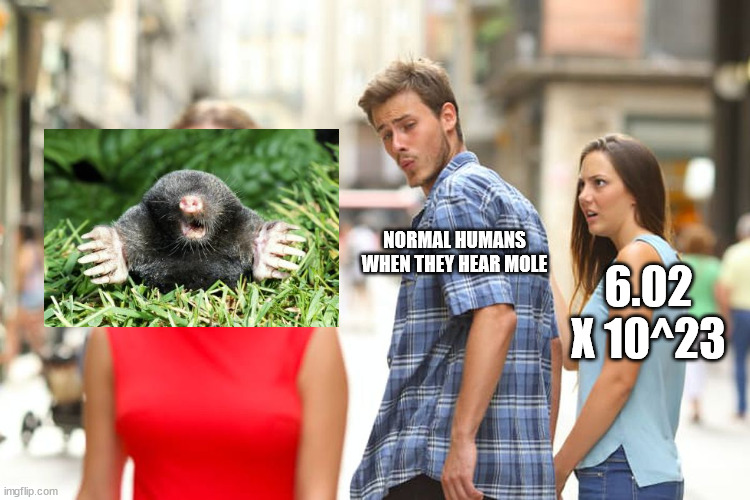 Just mole | NORMAL HUMANS WHEN THEY HEAR MOLE; 6.02 X 10^23 | image tagged in memes,distracted boyfriend | made w/ Imgflip meme maker