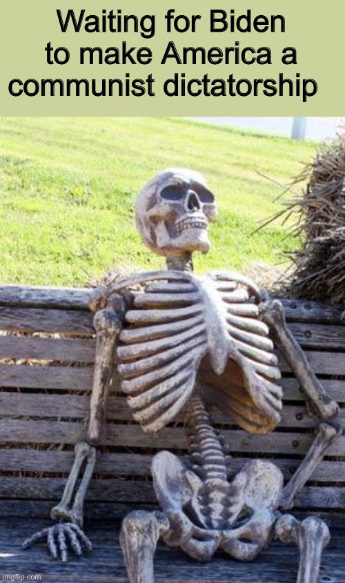 Waiting Skeleton Meme | Waiting for Biden to make America a communist dictatorship | image tagged in memes,waiting skeleton | made w/ Imgflip meme maker