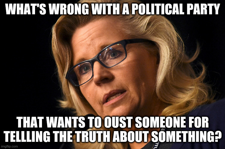 Someone is Liz Cheney,Something is that Trump lost the election fair and square | WHAT'S WRONG WITH A POLITICAL PARTY; THAT WANTS TO OUST SOMEONE FOR TELLLING THE TRUTH ABOUT SOMETHING? | image tagged in liz cheney,trump,election 2020,republicans | made w/ Imgflip meme maker