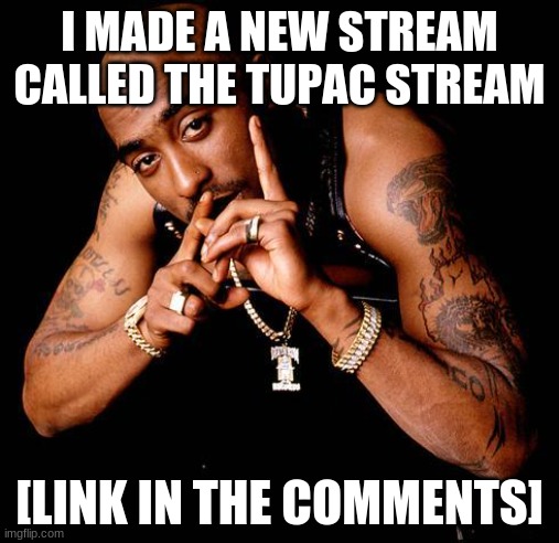 Tupac | I MADE A NEW STREAM CALLED THE TUPAC STREAM; [LINK IN THE COMMENTS] | image tagged in tupac | made w/ Imgflip meme maker