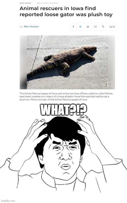 How?!? | WHAT?!? | image tagged in jacky chan | made w/ Imgflip meme maker