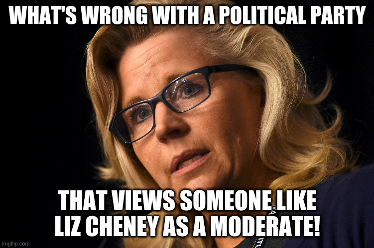 How far right do you have to move to see Liz Cheney as a moderate? | WHAT'S WRONG WITH A POLITICAL PARTY; THAT VIEWS SOMEONE LIKE LIZ CHENEY AS A MODERATE! | image tagged in liz cheney,republicans | made w/ Imgflip meme maker