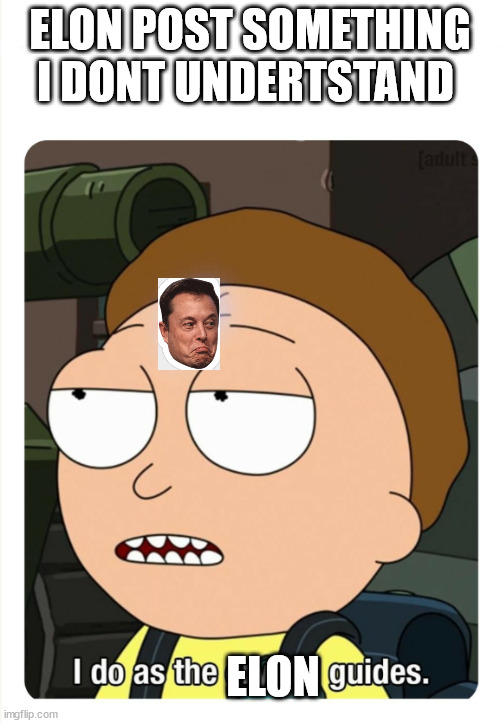 ELon does Something | ELON POST SOMETHING I DONT UNDERTSTAND; ELON | image tagged in i do as the crystal guides,elon musk,dogecoin | made w/ Imgflip meme maker
