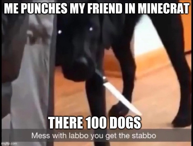 mess with labbo you get stabbo | ME PUNCHES MY FRIEND IN MINECRAT; THERE 100 DOGS | image tagged in mess with labbo you get stabbo | made w/ Imgflip meme maker