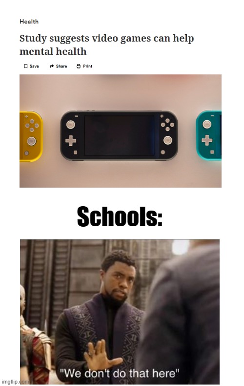 Schools: | image tagged in we don't do that here,schools,gaming,video games,mental health,black panther | made w/ Imgflip meme maker