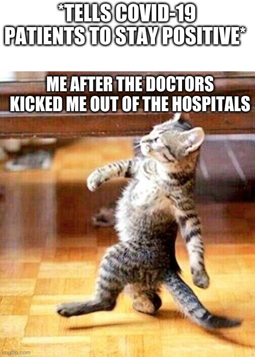 cat walk in walk out | *TELLS COVID-19 PATIENTS TO STAY POSITIVE*; ME AFTER THE DOCTORS KICKED ME OUT OF THE HOSPITALS | image tagged in cat walk in walk out | made w/ Imgflip meme maker
