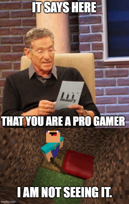 IT SAYS HERE; THAT YOU ARE A PRO GAMER; I AM NOT SEEING IT. | image tagged in memes,maury lie detector | made w/ Imgflip meme maker