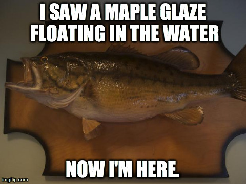 I SAW A MAPLE GLAZE FLOATING IN THE WATER NOW I'M HERE. | image tagged in taxidermied fish | made w/ Imgflip meme maker