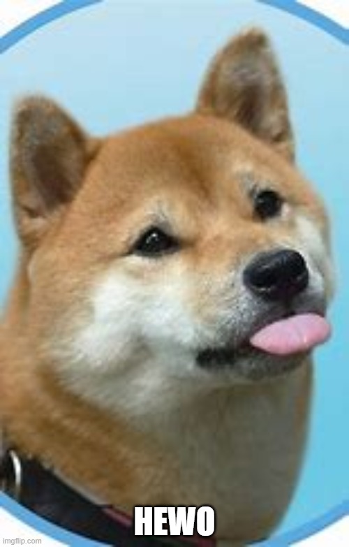 Happi doggo | HEWO | image tagged in happi doggo | made w/ Imgflip meme maker