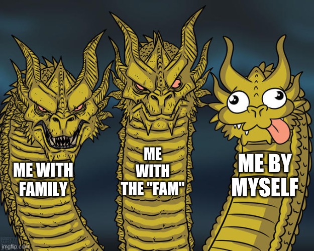 Three-headed Dragon | ME WITH THE "FAM"; ME BY MYSELF; ME WITH FAMILY | image tagged in three-headed dragon | made w/ Imgflip meme maker