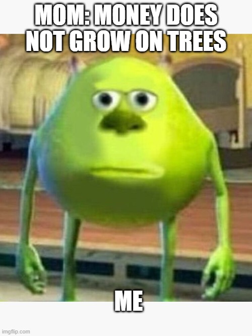 mike wazowski | MOM: MONEY DOES NOT GROW ON TREES; ME | image tagged in dissapointed,mike wazowski,meme | made w/ Imgflip meme maker