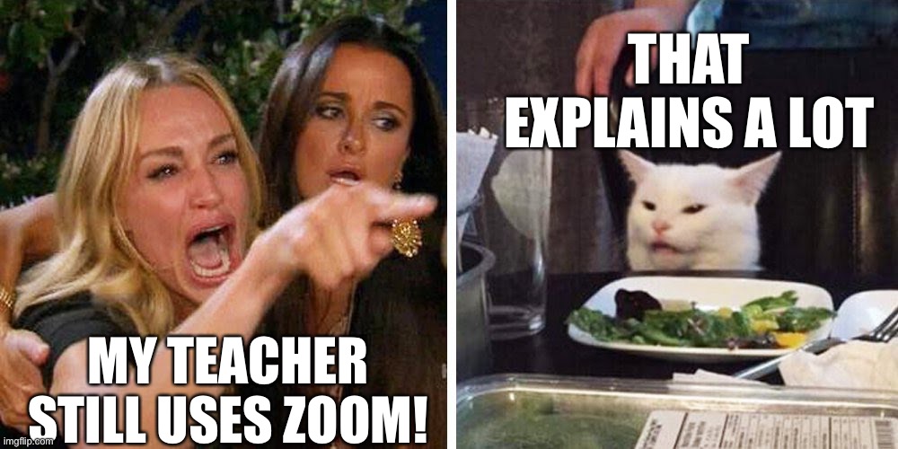 Teacher uses Zoom | THAT EXPLAINS A LOT; MY TEACHER STILL USES ZOOM! | image tagged in smudge the cat,zoom,teacher,rage | made w/ Imgflip meme maker