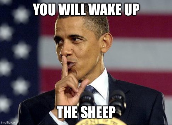 Obama Shhhhh | YOU WILL WAKE UP THE SHEEP | image tagged in obama shhhhh | made w/ Imgflip meme maker