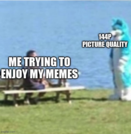 Furry Staring |  144P PICTURE QUALITY; ME TRYING TO ENJOY MY MEMES | image tagged in furry staring | made w/ Imgflip meme maker