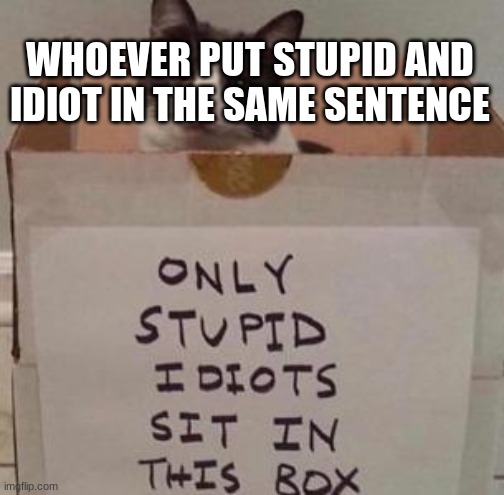 idiot box | WHOEVER PUT STUPID AND IDIOT IN THE SAME SENTENCE | image tagged in idiot box | made w/ Imgflip meme maker