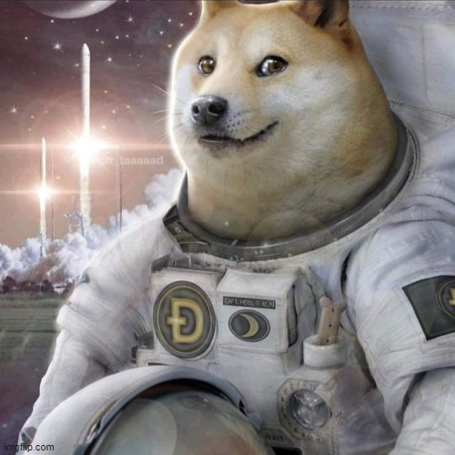 Astronaut Doge | image tagged in astronaut doge | made w/ Imgflip meme maker