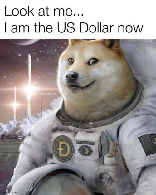 yassss crypto is the future maga | image tagged in maga,cryptocurrency,crypto,doge,dogecoin,repost | made w/ Imgflip meme maker
