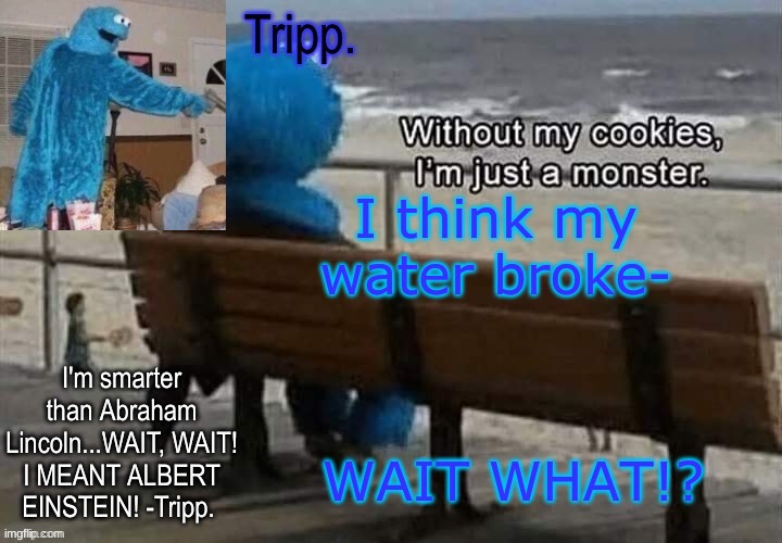 comment "That's sus josh" if you understand the meme. | I think my water broke-; WAIT WHAT!? | image tagged in tripp 's cookie monster temp | made w/ Imgflip meme maker