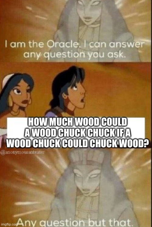 I’m baaaaaack | HOW MUCH WOOD COULD A WOOD CHUCK CHUCK IF A WOOD CHUCK COULD CHUCK WOOD? | image tagged in the oracle | made w/ Imgflip meme maker