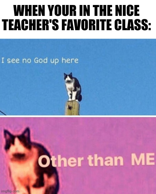 Hail pole cat | WHEN YOUR IN THE NICE TEACHER'S FAVORITE CLASS: | image tagged in hail pole cat | made w/ Imgflip meme maker