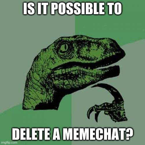 just curious | IS IT POSSIBLE TO; DELETE A MEMECHAT? | image tagged in memes,philosoraptor | made w/ Imgflip meme maker