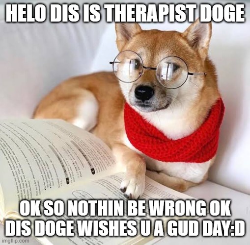 Wholesome advice shibe | HELO DIS IS THERAPIST DOGE; OK SO NOTHIN BE WRONG OK DIS DOGE WISHES U A GUD DAY:D | image tagged in wholesome advice shibe | made w/ Imgflip meme maker