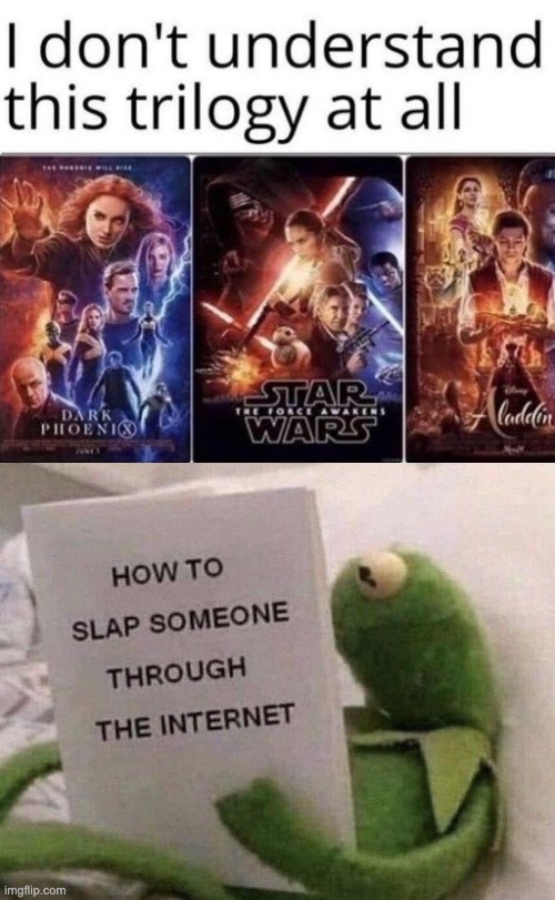 I don't Understand this trilogy at all | image tagged in kermit how to slap someone through the internet | made w/ Imgflip meme maker