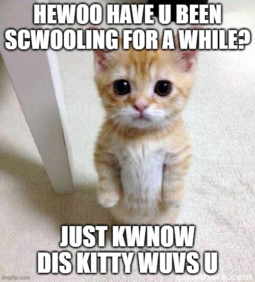 Cute Cat | HEWOO HAVE U BEEN SCWOOLING FOR A WHILE? JUST KWNOW DIS KITTY WUVS U | image tagged in memes,cute cat | made w/ Imgflip meme maker