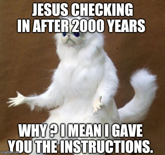 Jesus there is shit everywhere | JESUS CHECKING IN AFTER 2000 YEARS; WHY ? I MEAN I GAVE YOU THE INSTRUCTIONS. | image tagged in jesus,jesus christ | made w/ Imgflip meme maker