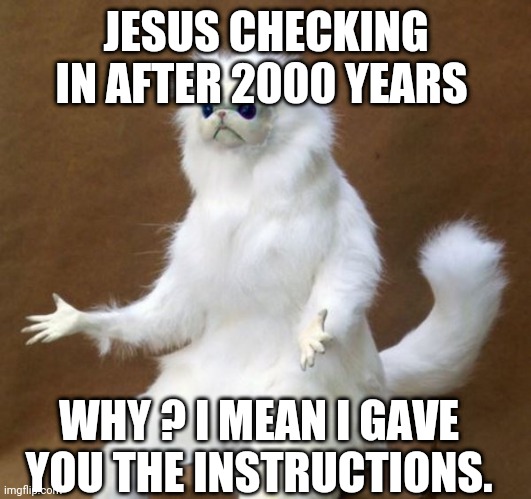 Jesus Chist there is shit everywhere | JESUS CHECKING IN AFTER 2000 YEARS; WHY ? I MEAN I GAVE YOU THE INSTRUCTIONS. | image tagged in funny | made w/ Imgflip meme maker