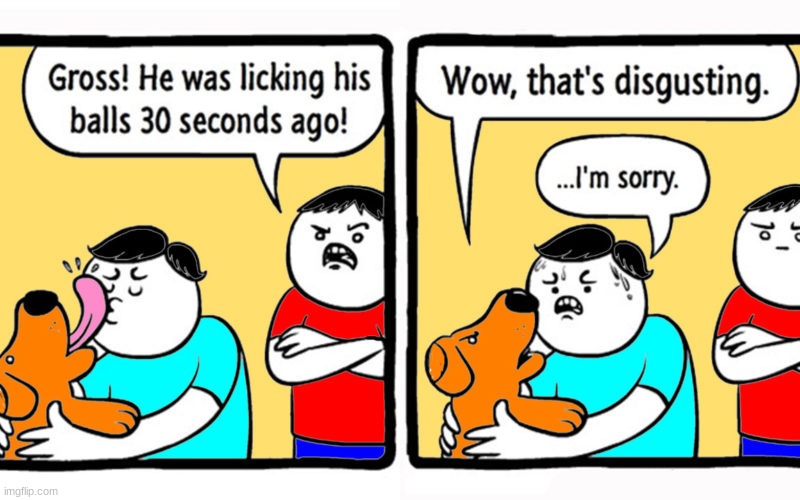 you know that dog from up? | image tagged in msmg | made w/ Imgflip meme maker