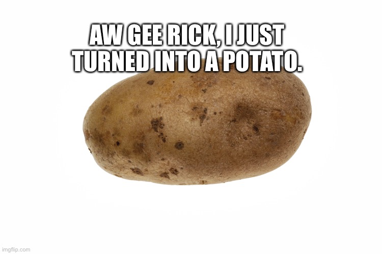 Potato Morty | AW GEE RICK, I JUST TURNED INTO A POTATO. | image tagged in potato morty | made w/ Imgflip meme maker