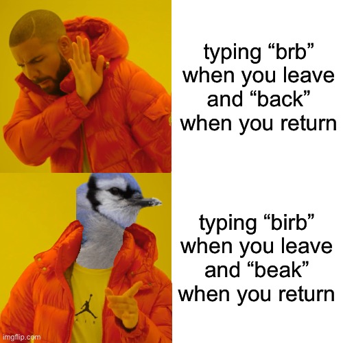 Drake Hotline Bling Meme | typing “brb” when you leave
and “back” when you return; typing “birb” when you leave
and “beak” when you return | image tagged in memes,drake hotline bling,birdmemes | made w/ Imgflip meme maker