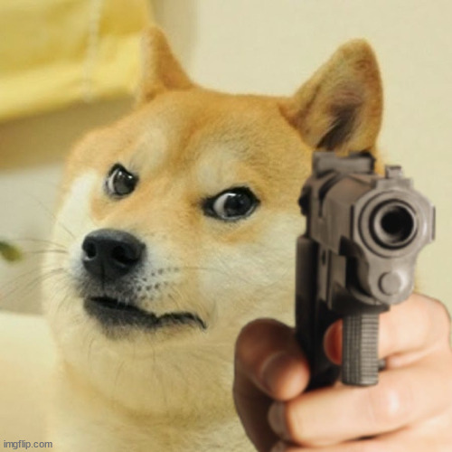 Gun Doge | image tagged in gun doge | made w/ Imgflip meme maker