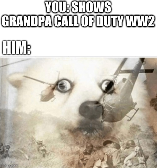 PTSD dog | YOU: SHOWS GRANDPA CALL OF DUTY WW2; HIM: | image tagged in ptsd dog | made w/ Imgflip meme maker