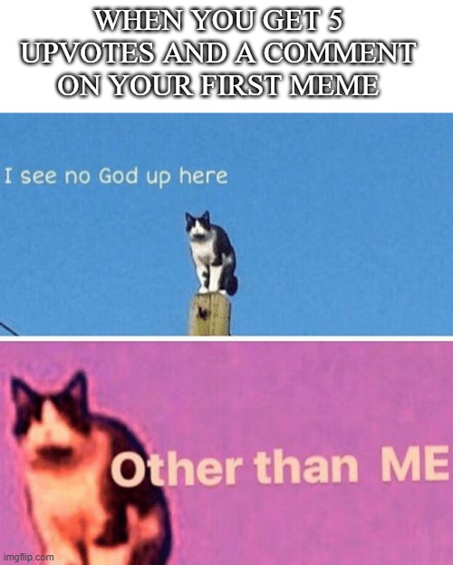 Hail pole cat | WHEN YOU GET 5 UPVOTES AND A COMMENT ON YOUR FIRST MEME | image tagged in hail pole cat | made w/ Imgflip meme maker