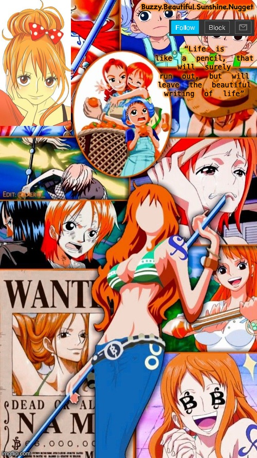 Nami temp tysm X-Virus :3 Blank Meme Template