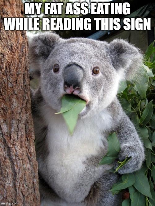 MY FAT ASS EATING WHILE READING THIS SIGN | image tagged in memes,surprised koala | made w/ Imgflip meme maker