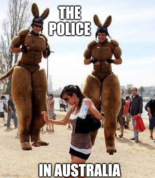 NO GUNS, THEY JUST KICK YOU | THE POLICE; IN AUSTRALIA | image tagged in kangaroo,australia,meanwhile in australia,wtf,police | made w/ Imgflip meme maker