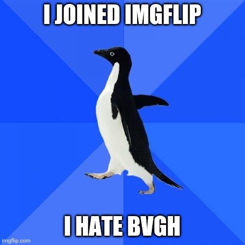 Socially Awkward Penguin Meme | I JOINED IMGFLIP; I HATE BVGH | image tagged in memes,socially awkward penguin | made w/ Imgflip meme maker
