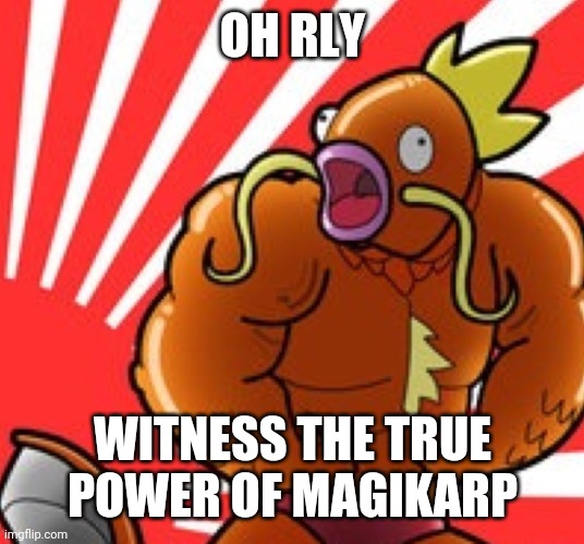 Muscle magikarp | OH RLY WITNESS THE TRUE POWER OF MAGIKARP | image tagged in muscle magikarp | made w/ Imgflip meme maker
