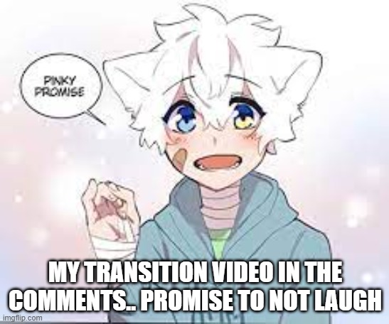 Pwease watch | MY TRANSITION VIDEO IN THE COMMENTS.. PROMISE TO NOT LAUGH | made w/ Imgflip meme maker