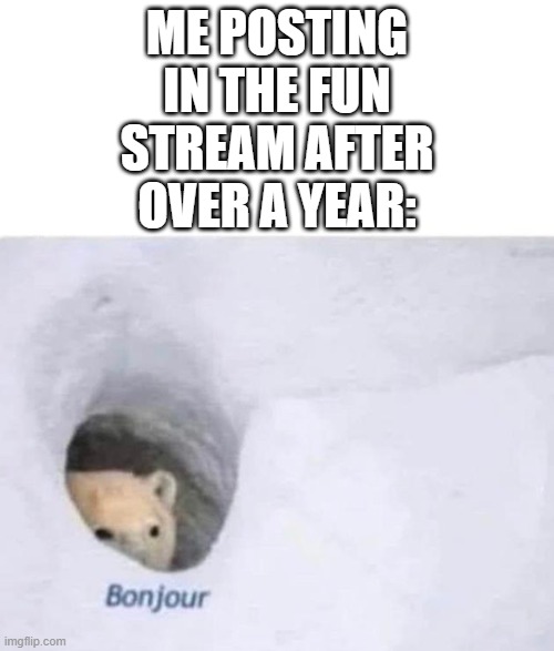 I'm back, boi. | ME POSTING IN THE FUN STREAM AFTER OVER A YEAR: | image tagged in bonjour,memes,bear,ha ha tags go brr,stop reading the tags | made w/ Imgflip meme maker