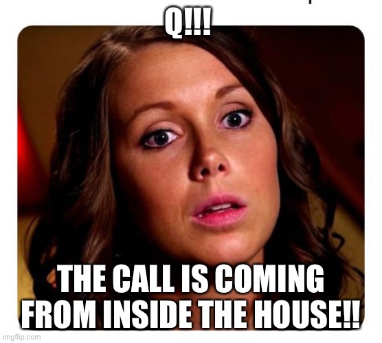 Q!!! THE CALL IS COMING FROM INSIDE THE HOUSE!! | made w/ Imgflip meme maker