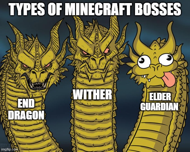 Three-headed Dragon | TYPES OF MINECRAFT BOSSES; WITHER; ELDER GUARDIAN; END DRAGON | image tagged in three-headed dragon | made w/ Imgflip meme maker